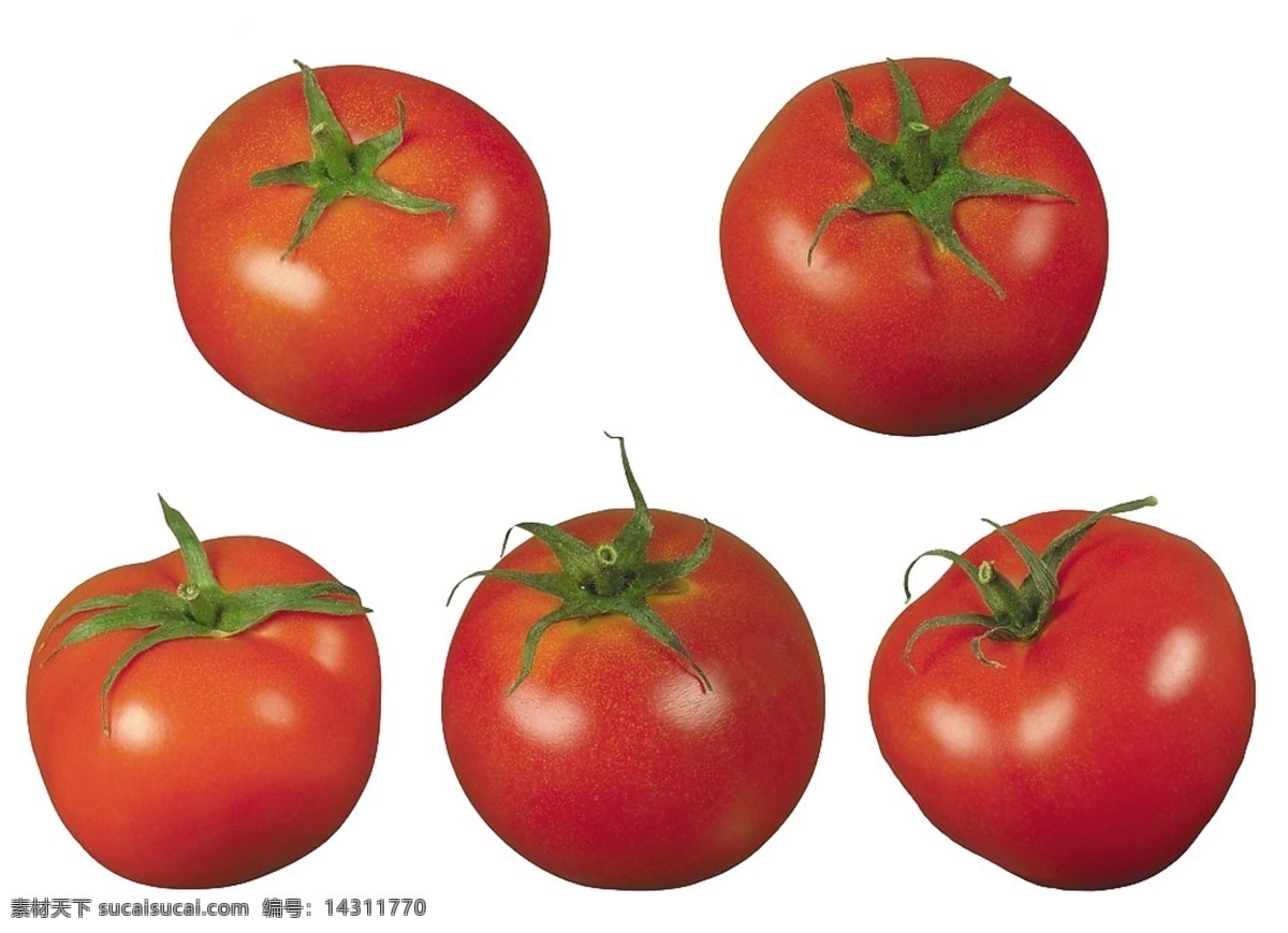番茄素材 免抠 免抠素材 白色