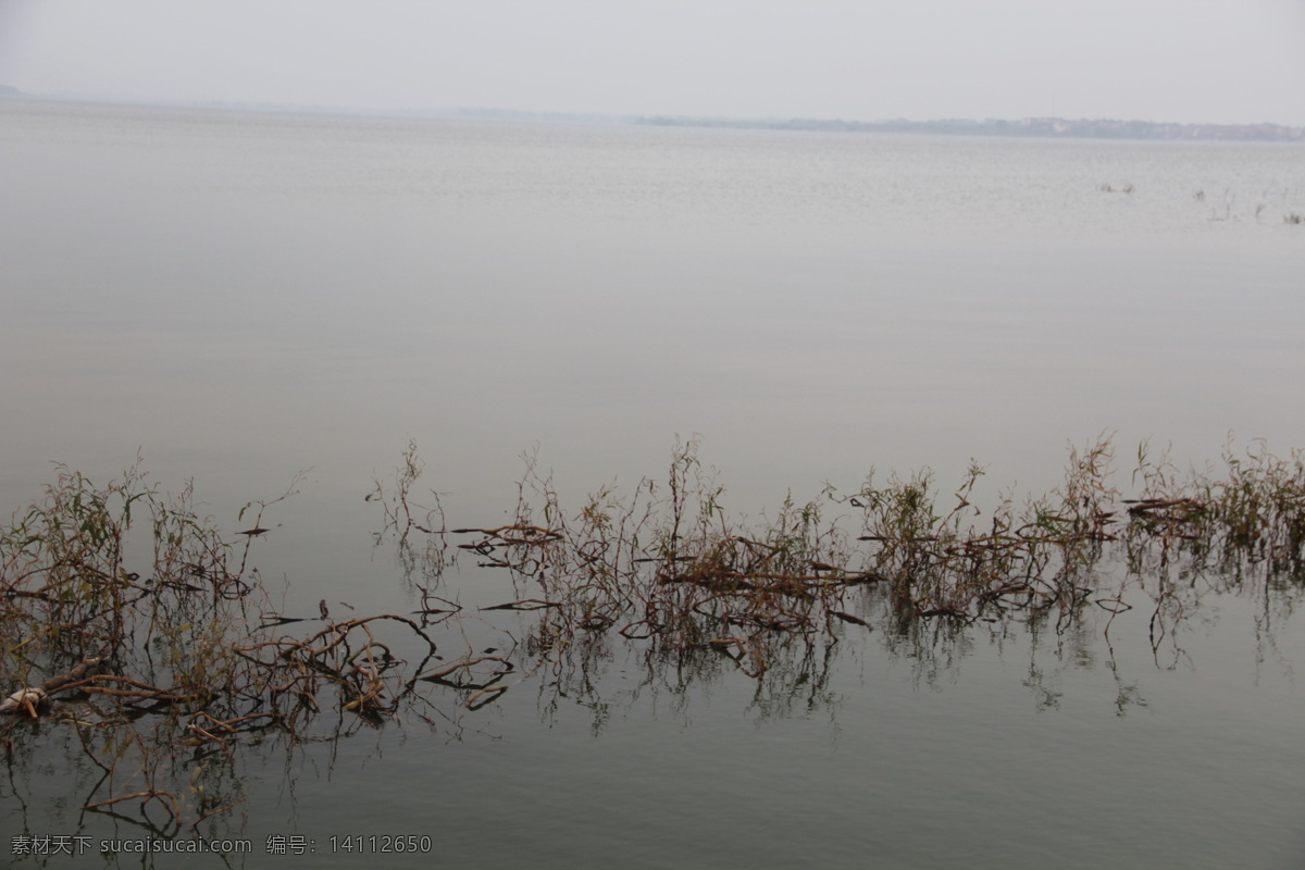 水 湖水 安静 枯草 水草 自然景观 自然风景 灰色