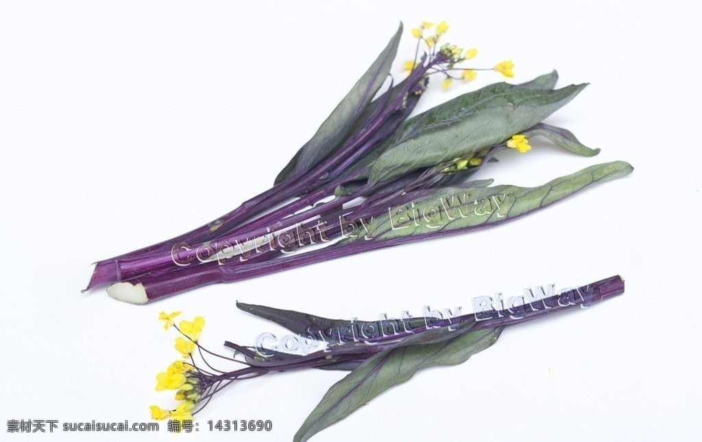 有机蔬菜 红菜苔 有机食品 绿色食品 绿色蔬菜 生态蔬菜 野菜 食物原料 餐饮美食
