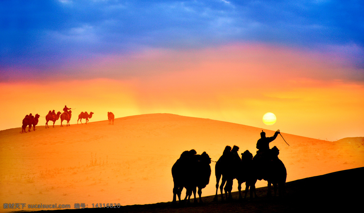 沙漠风情 骆驼 朝阳 蓝天 白云 沙漠 自然景观 自然风景
