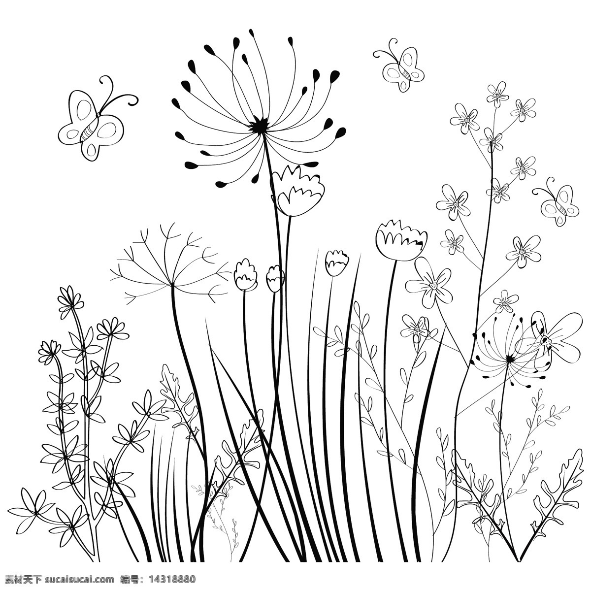 野生 花卉 场 背景 黑白 素描 免费 矢量 花 花朵 植物 黑白植物 蝴蝶 矢量背景花纹