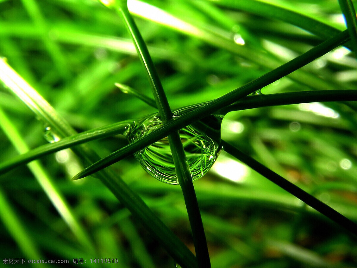 300 高清晰 绿叶 摄影图库 生物世界 树木树叶 树叶 水滴 特写 植物 植物叶子 田园风光 叶子 上 叶子上的水滴 psd源文件