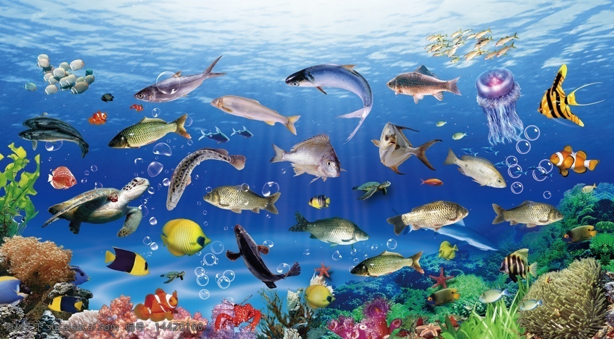 海底世界 各类鱼儿 珊瑚 海龟 海水 水母 分层 源文件