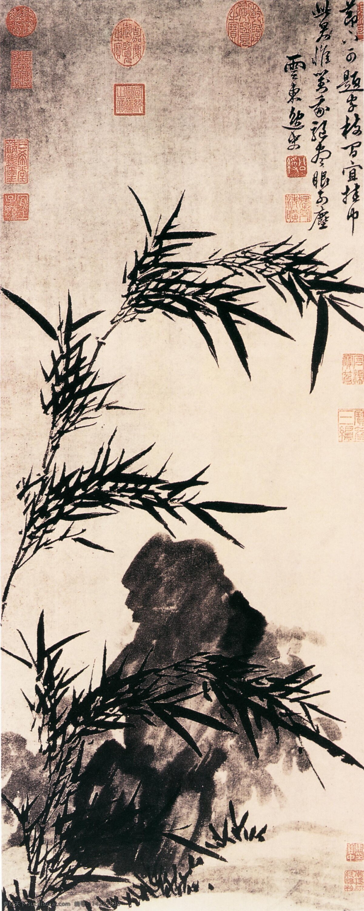 竹免费下载 传统文化 花草 石头 树 水墨画 文化艺术 印章 竹 绘画生物 笔墨生物 传世花鸟 传统花鸟 家居装饰素材 雕刻 图案