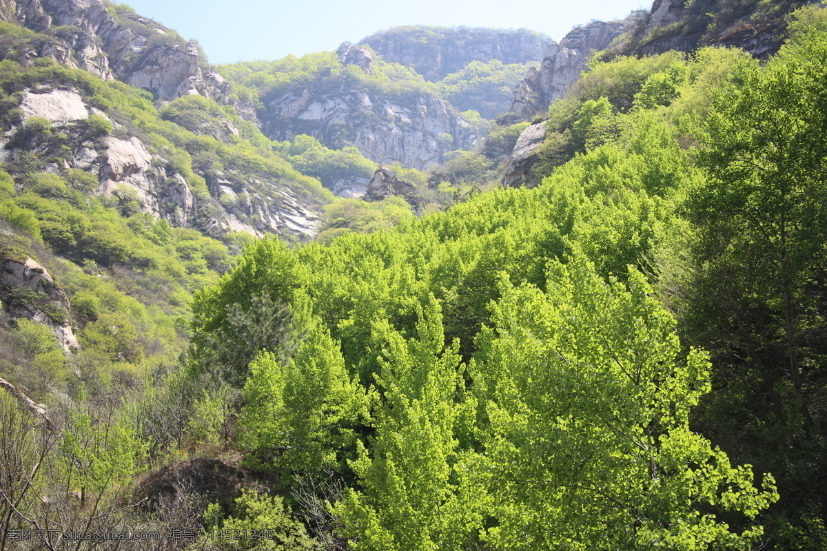 远山绿树 远山 树木 绿色 春天 自然风景 山水树木 旅游摄影