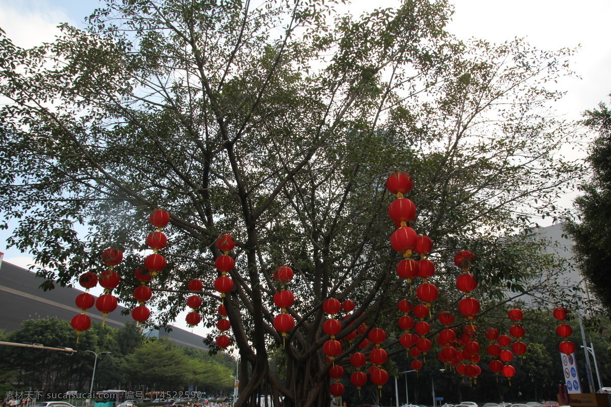 红灯笼 喜庆 过年 节日 树上灯笼 树枝灯笼 灯笼 春节 红色 民俗 中国元素 摄影作品 旅游摄影 国内旅游