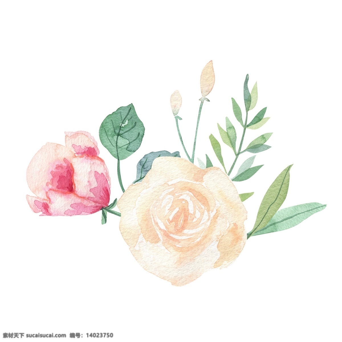 淡 粉色 花卉 手绘 透明 鲜花 绿色 叶子 装饰图案 淡粉色