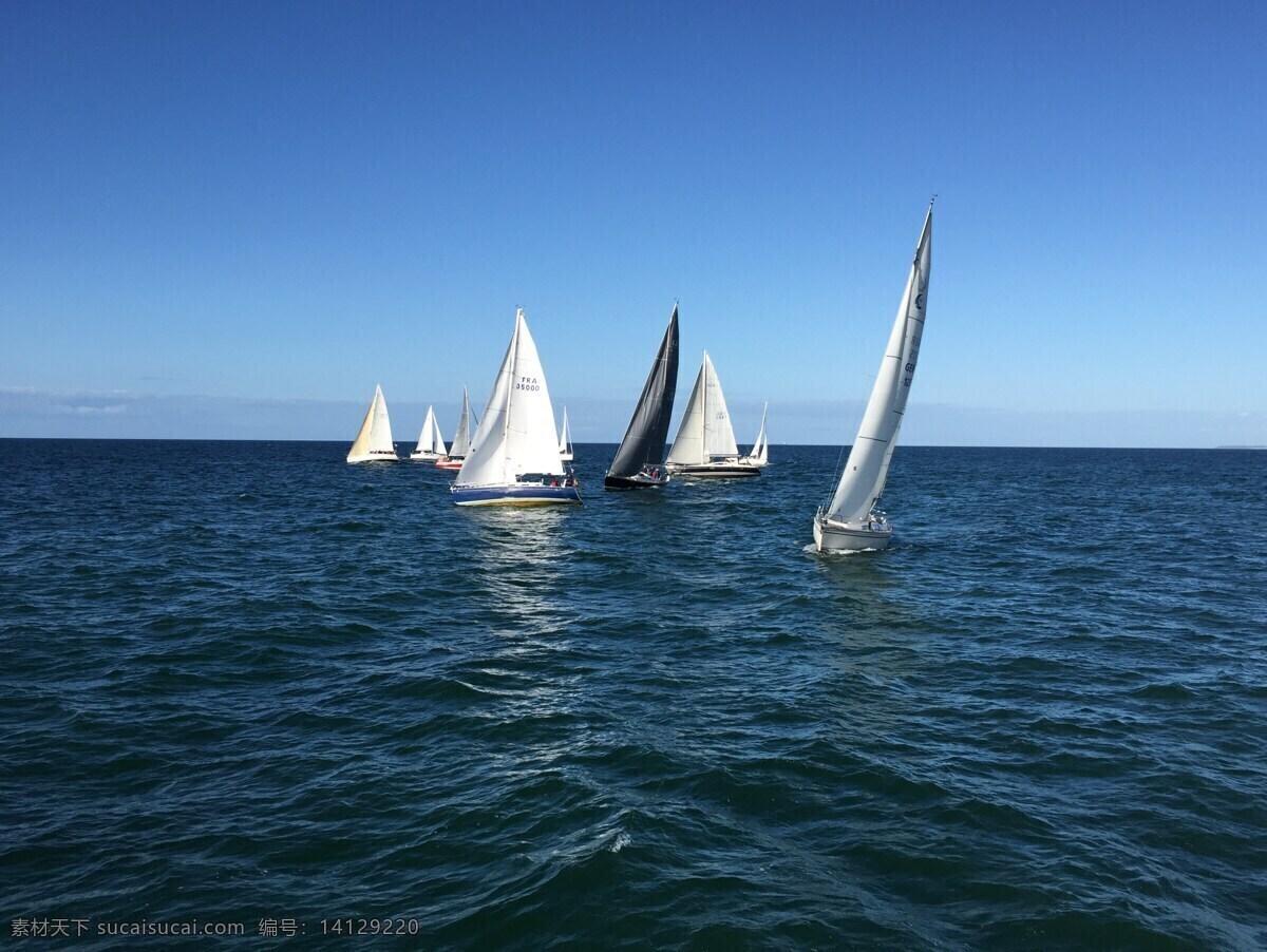 帆船 帆船运动 白色帆船 海上帆船 帆船比赛 白帆 比赛 大海 海上 海水 海平面 海波 水上运动 自然景观 自然风景