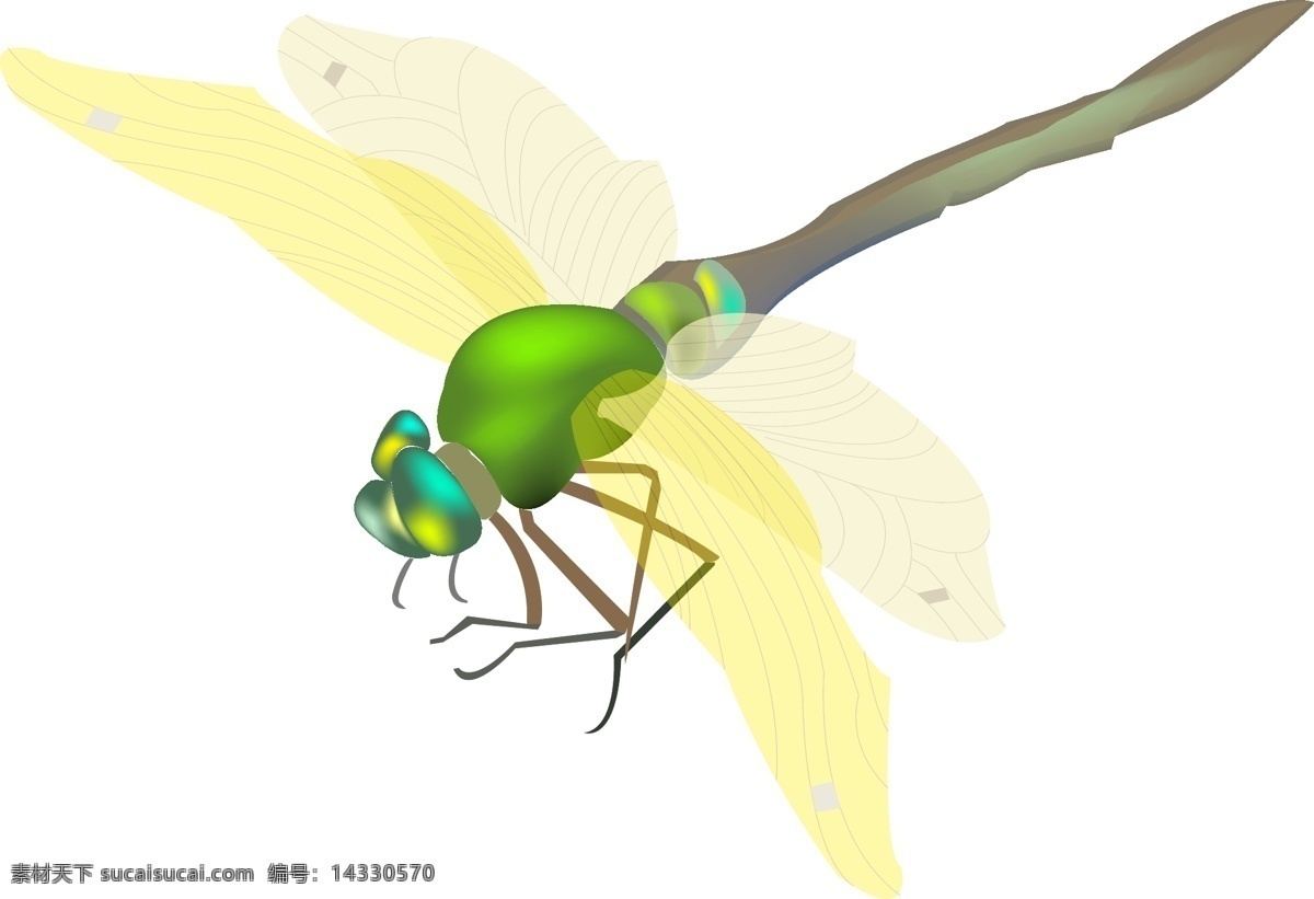 黄色 飞翔 蜻蜓 插画 翅膀 低飞 动物