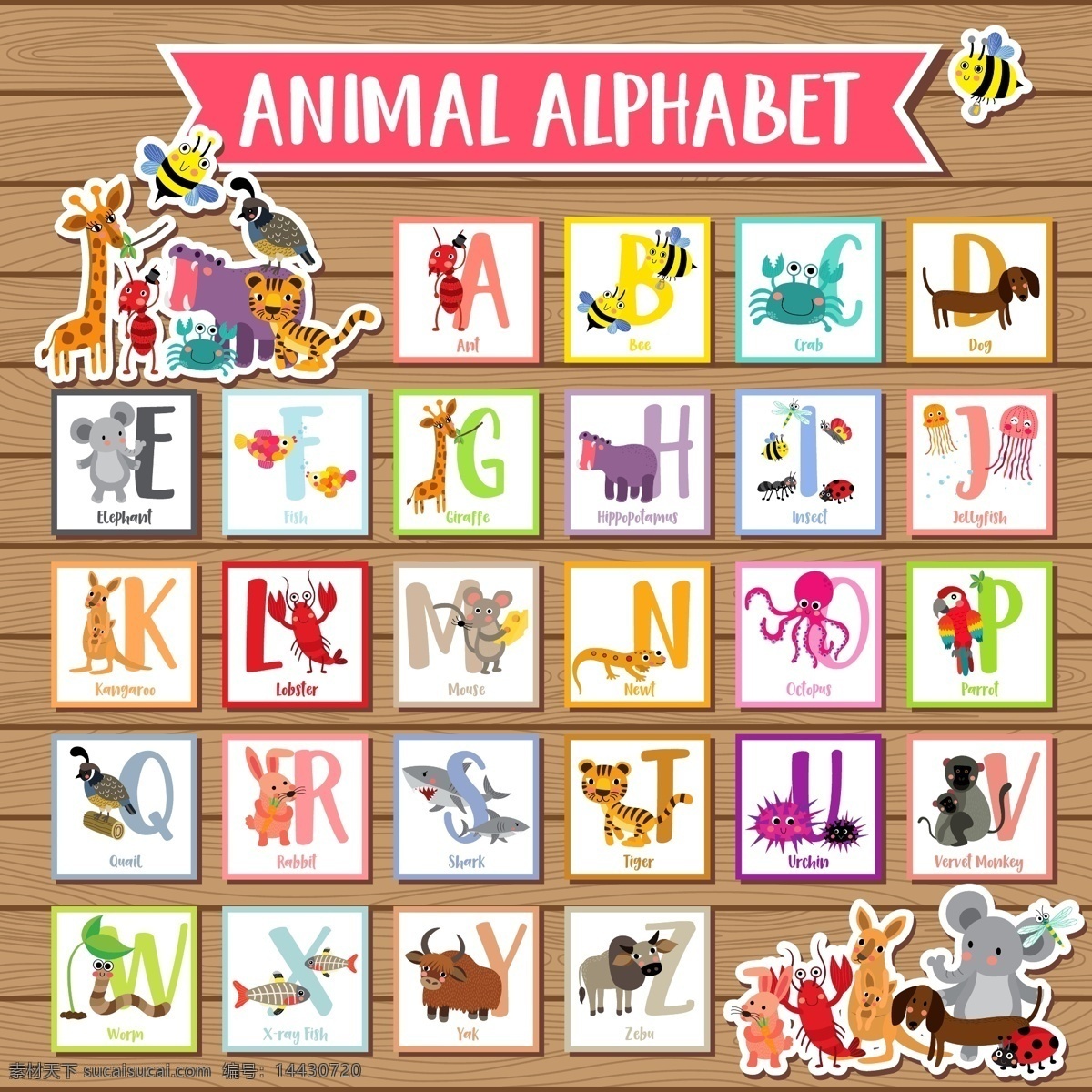 动物 英文 字母 卡通 儿童 动物字母 动物字体 英文字母 动物英文字母 彩色动物 彩色字母 卡通字母 木板木纹背景 可爱动物 儿童动物 生物世界 野生动物