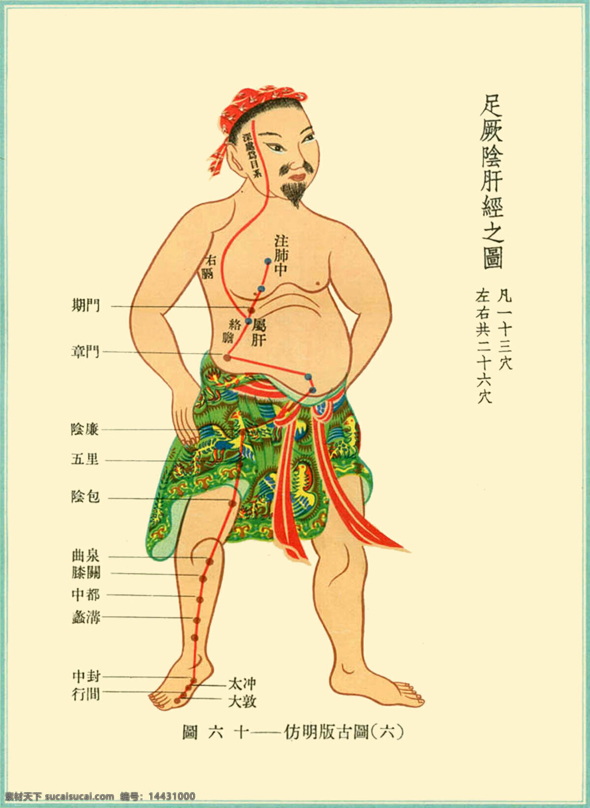 足厥阴肝经 络 图 十二经脉 针灸 足厥阴肝 中医 传统文化 文化艺术