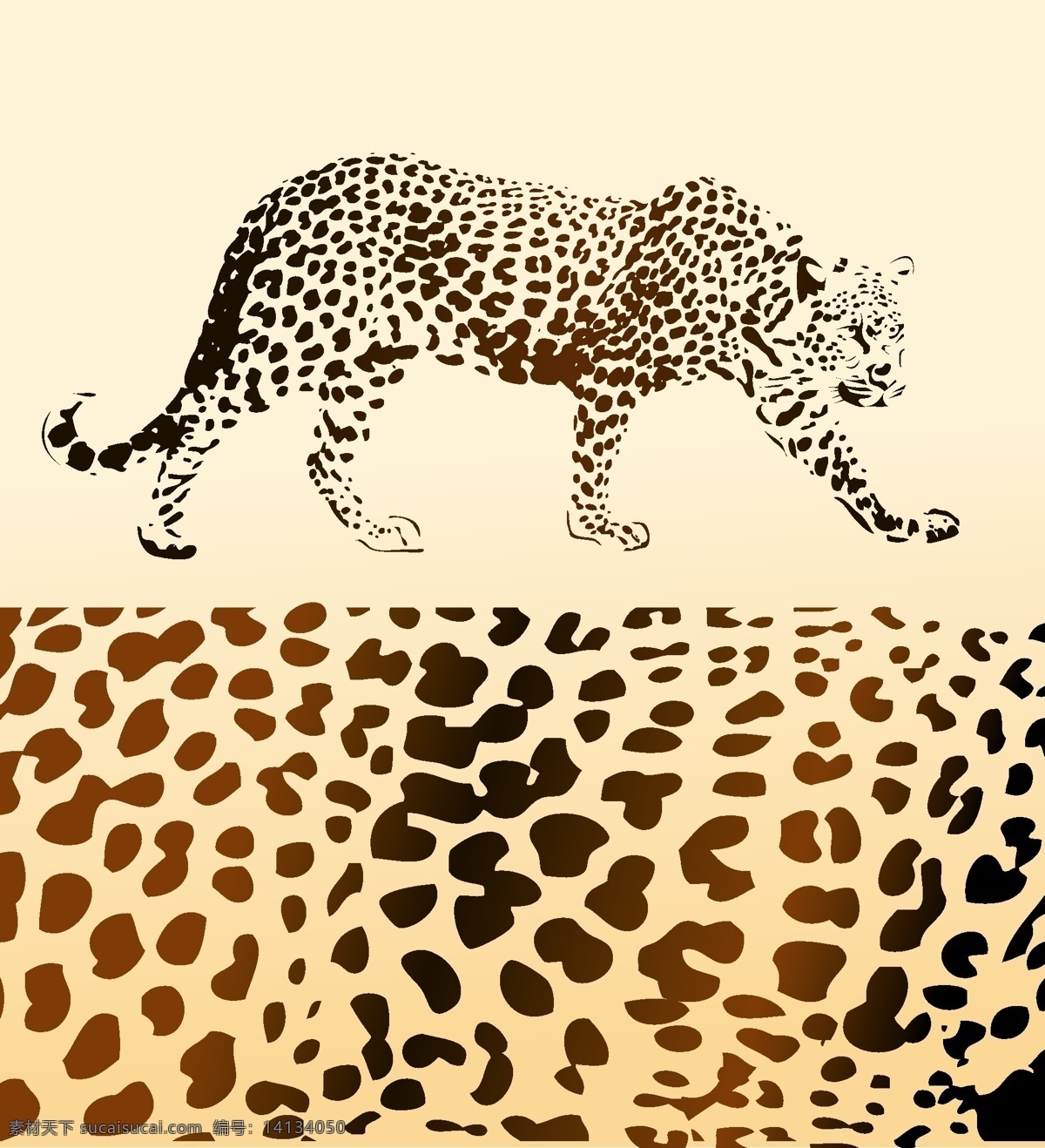 现实 豹 矢量 动物 背景 模式 媒介动物 白色