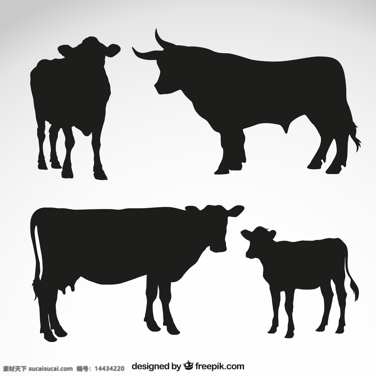 黑色 牛 剪影 矢量 农场 家畜 动物 奶牛 矢量图