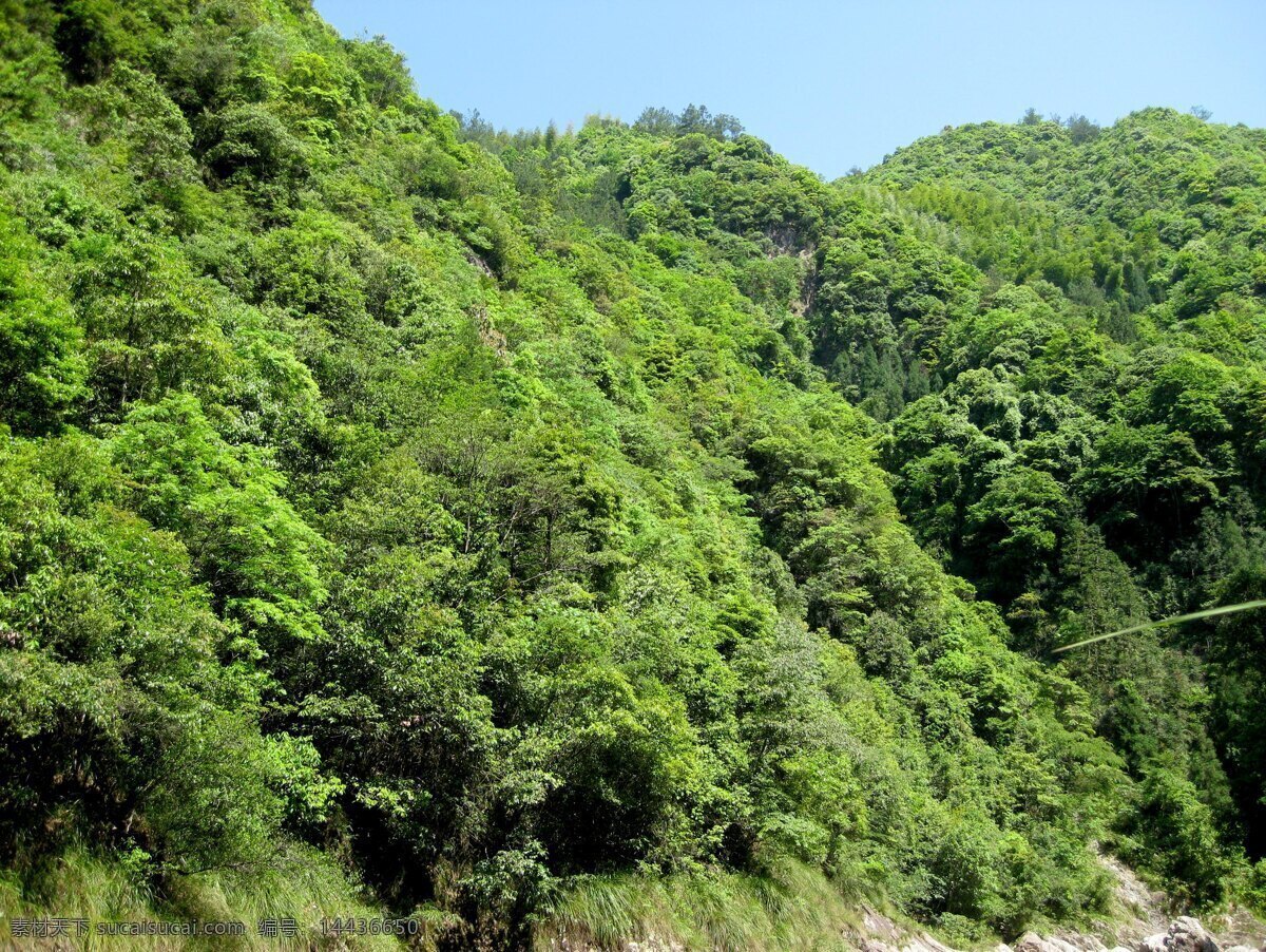 山 风景 大山 绿山 树木 石林 天空 草地 石地 自然风景 旅游摄影