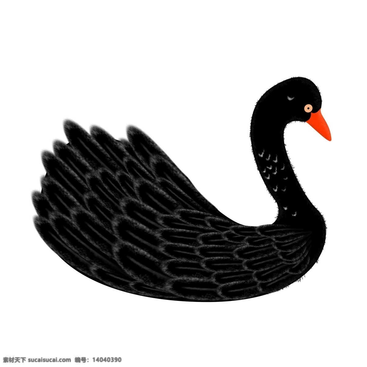 黑色 情人节 手绘 黑 天鹅 元素 黑色情人节 黑天鹅 羽毛 设计元素