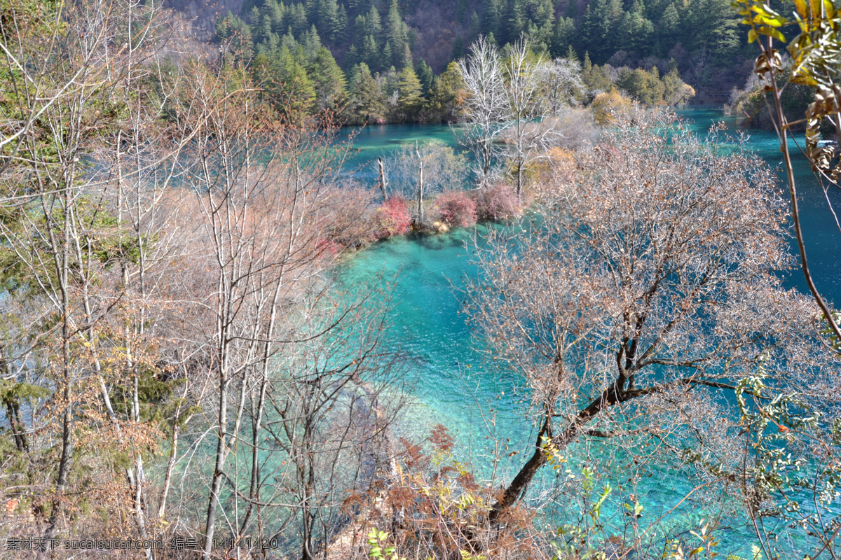 火花海 九寨沟 湖 蓝色 秋 自然风景 自然景观