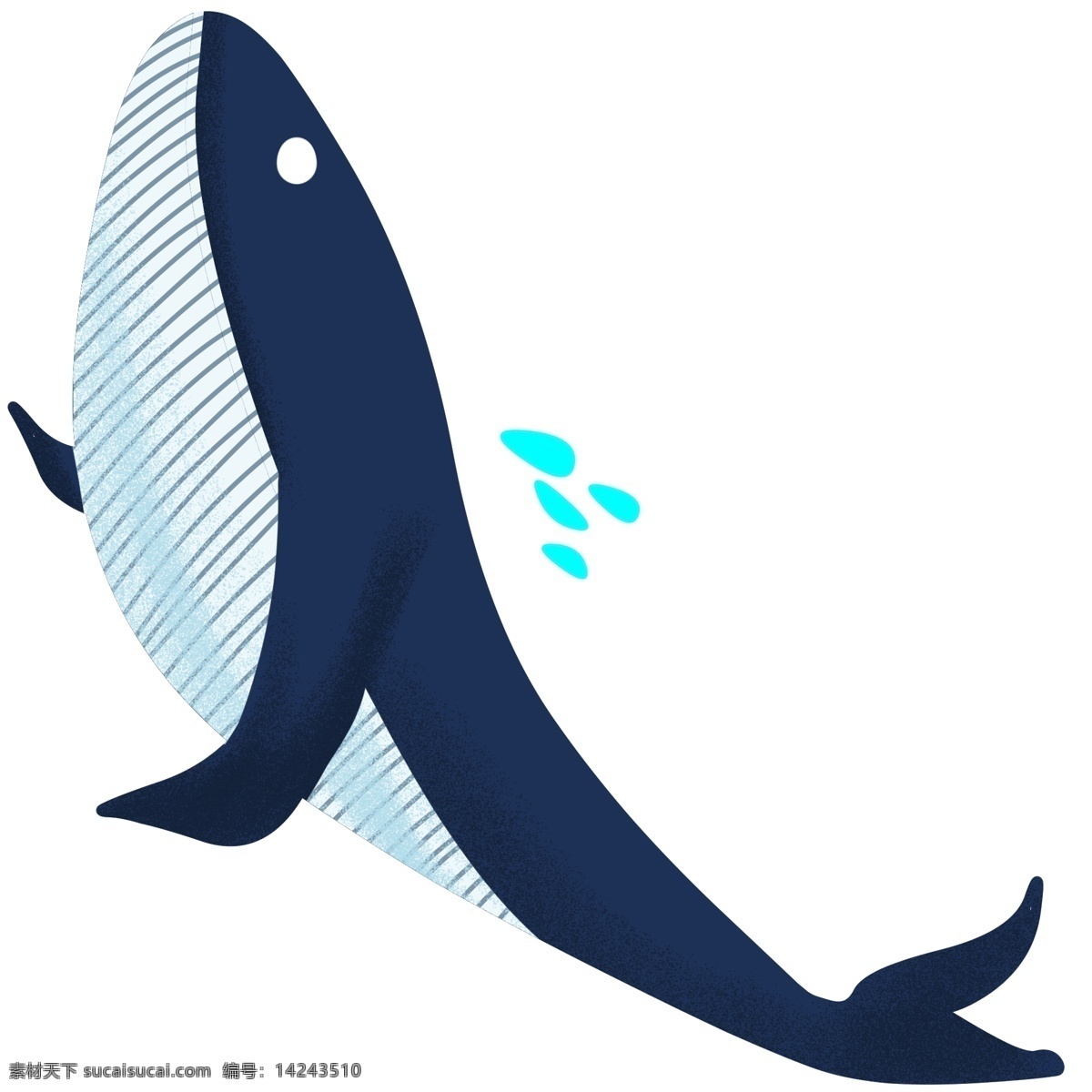 海洋世界 鲸鱼 插画 动物 卡通 大海 海鲜 海底世界 手绘 海水 海里 海鱼 矢量 喷水的鲸鱼 卡通鲸鱼
