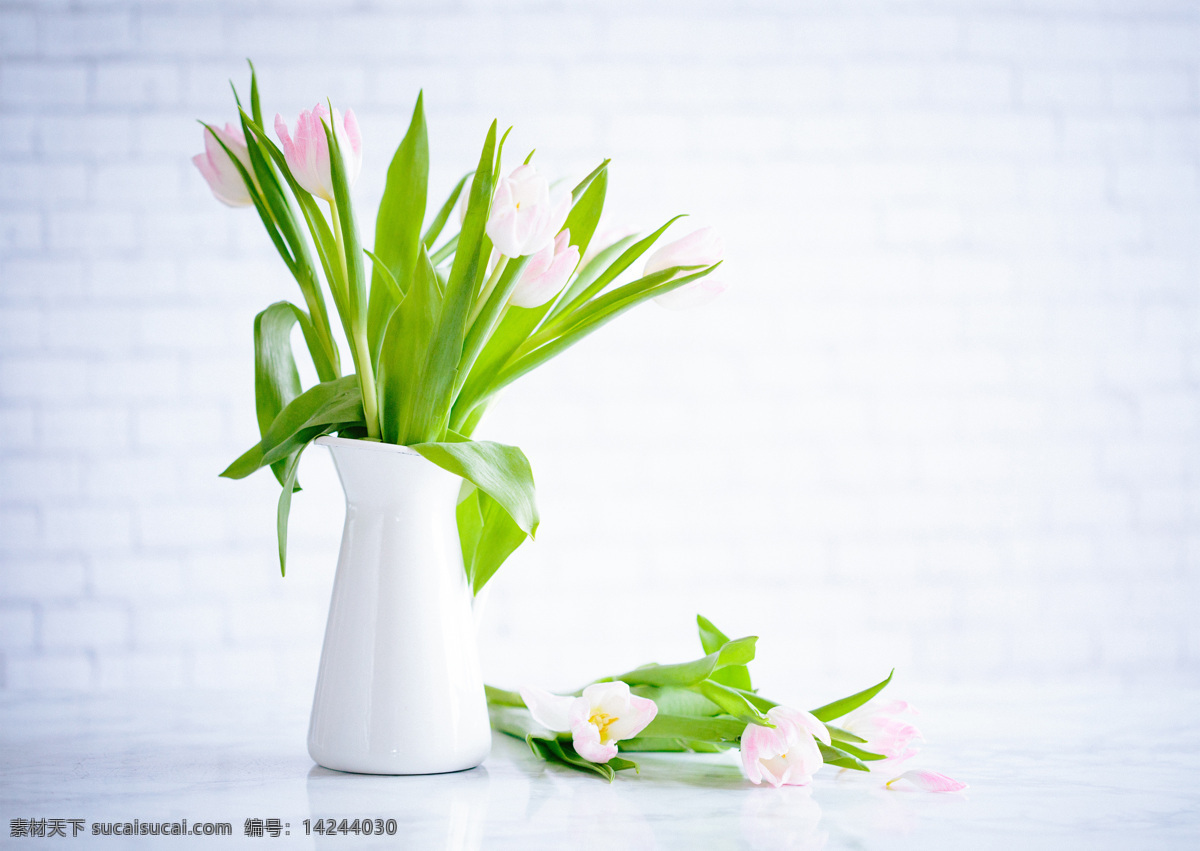 绿色植物 植物 花朵 花瓶 壁纸 郁金香 花叶 粉色花朵