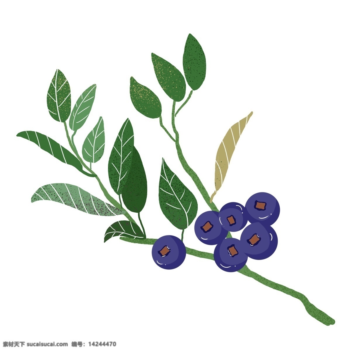矢量 水果 蓝莓 元素 夏季水果 夏季食品 手绘蓝莓 水果蓝莓 矢量蓝莓 卡通蓝莓 蓝莓水果 卡通蓝莓水果