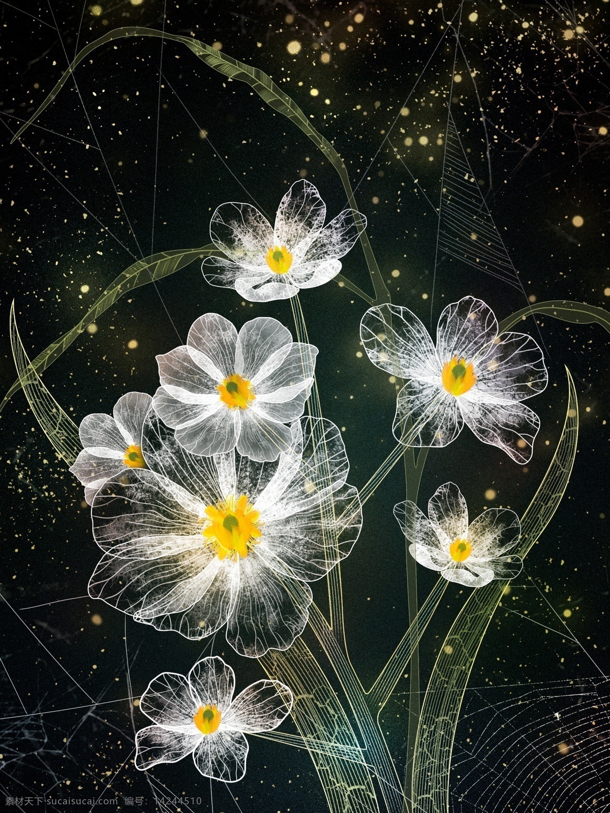 原创 独特 透明感 透明 花 插画 独特透明感 网 植物 花卉 海报