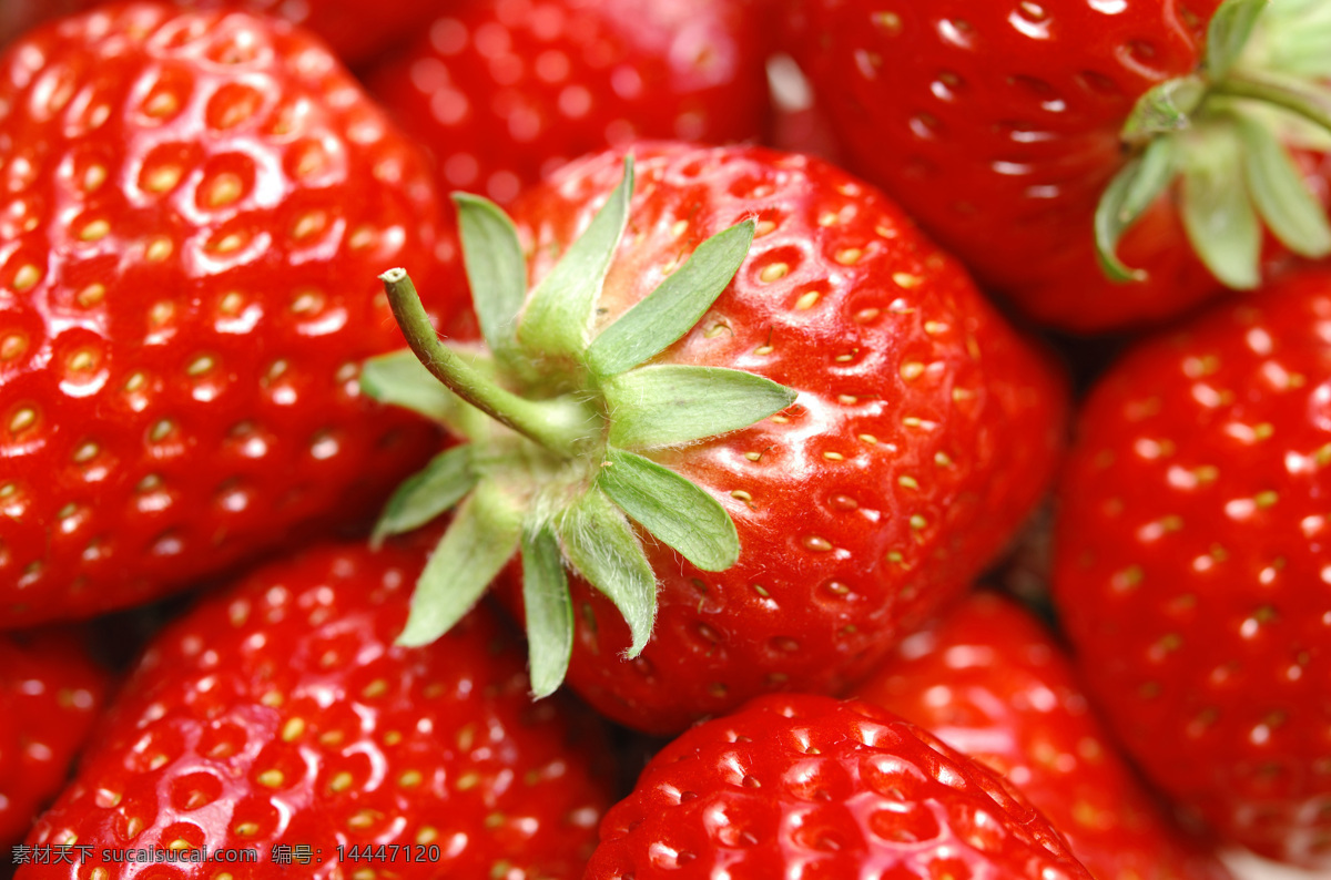 水果免费下载 草莓 高清 红色 水果 诱人 风景 生活 旅游餐饮