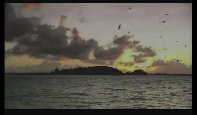 海岸风景视频 mov 大海视频素材 多媒体设计 视频素材 舞台 背景 视频 源文件 晚会 海上 飞鸟 实拍视频