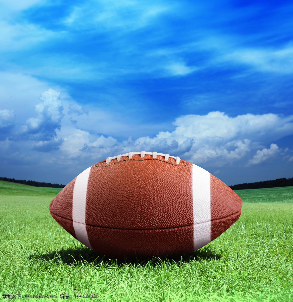 一个 橄榄球 蓝天 白云 草地 草坪 体育运动 生活百科