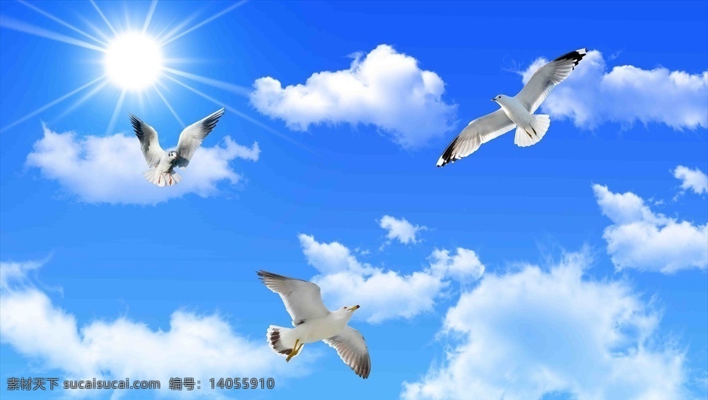 蓝天白云 吊顶 天空 壁画吊顶 海鸥 自然风景 壁画