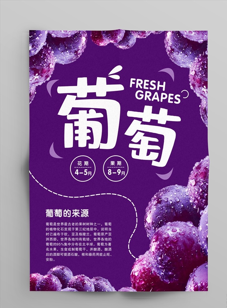 葡萄海报 葡萄图片 葡萄素材 水果海报 海报 葡萄介绍 葡萄来历 葡萄 紫色海报