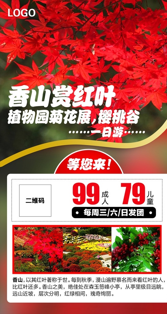 北京香山 赏红叶 深秋 香山 香山旅游 旅游 海报宣传页