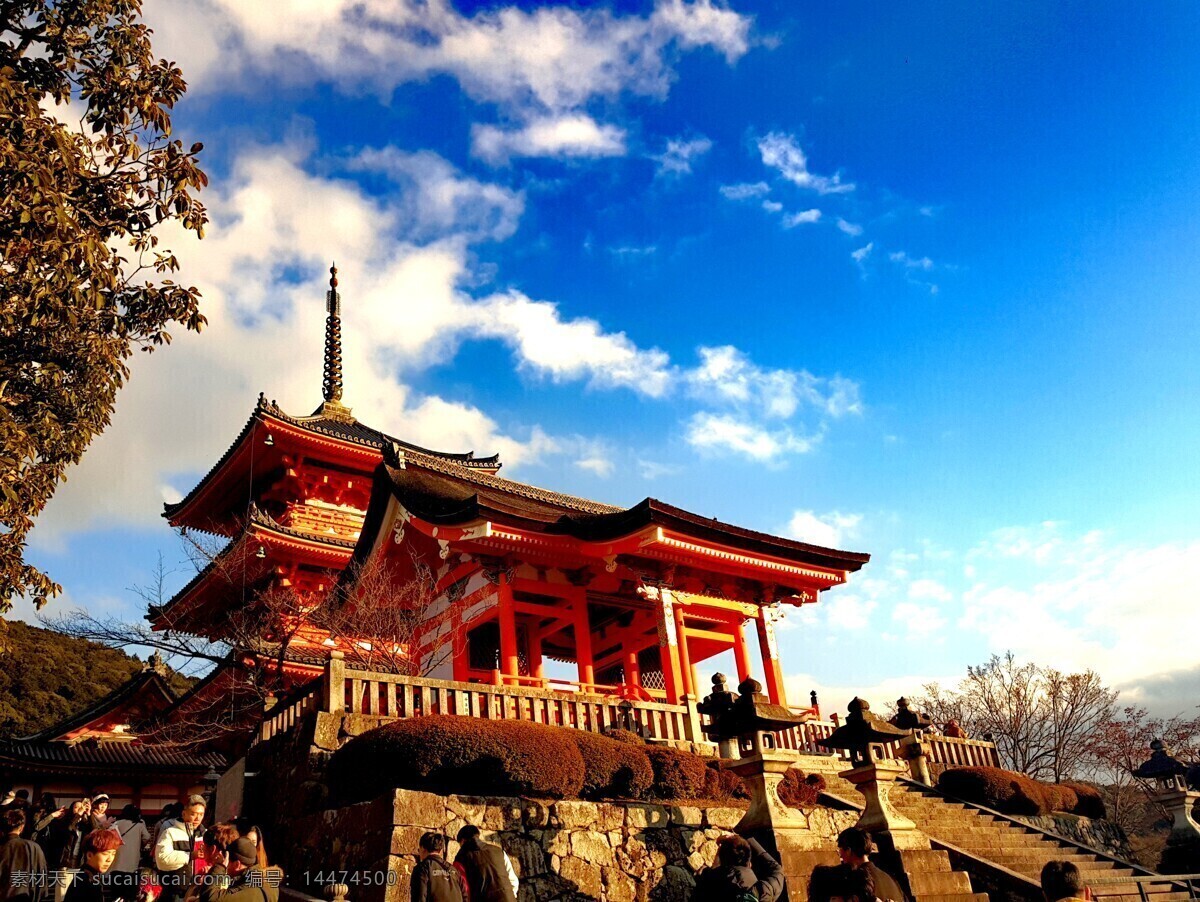伏 见 稻 荷 大社 一瞥 日本 伏见稻荷大社 人文景观 京都 kyoto 旅游摄影 国外旅游