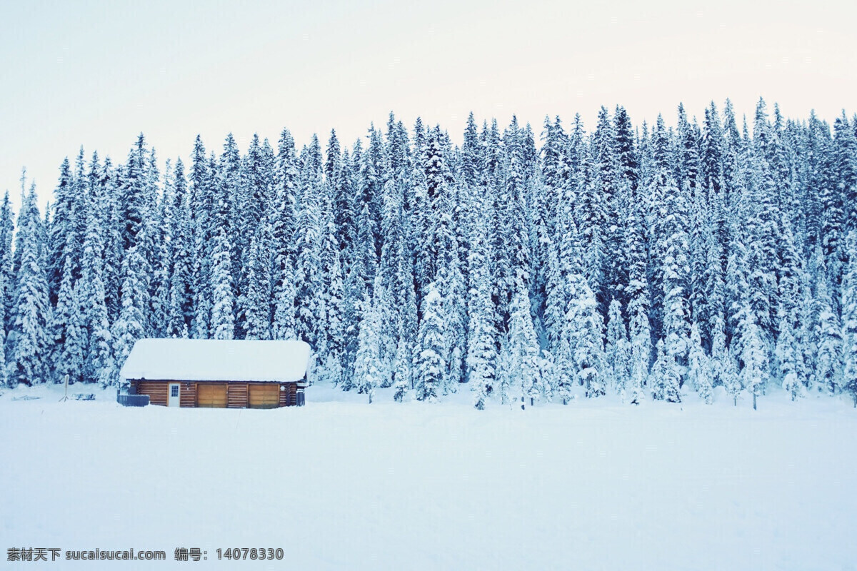 雪景 大雪 雪地 下雪 小雪 雪屋 雪树 下雪风景 自然景观 自然风景