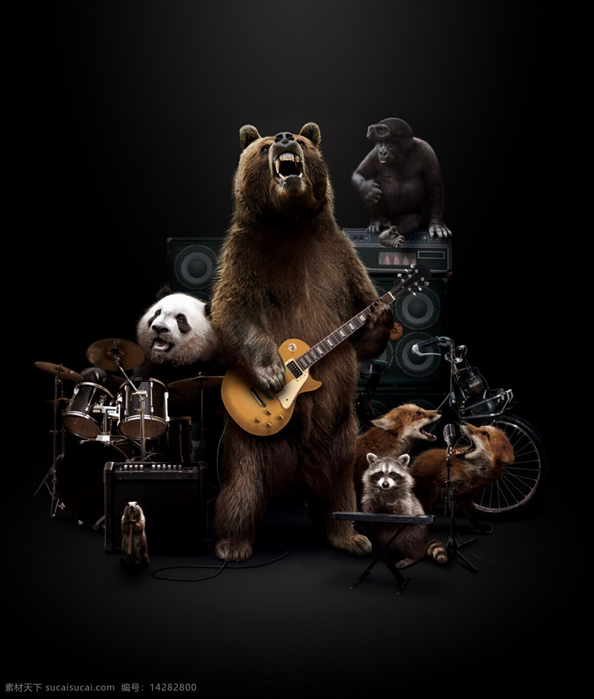 创意 动物 乐队 高清 大熊 熊猫 动物创意