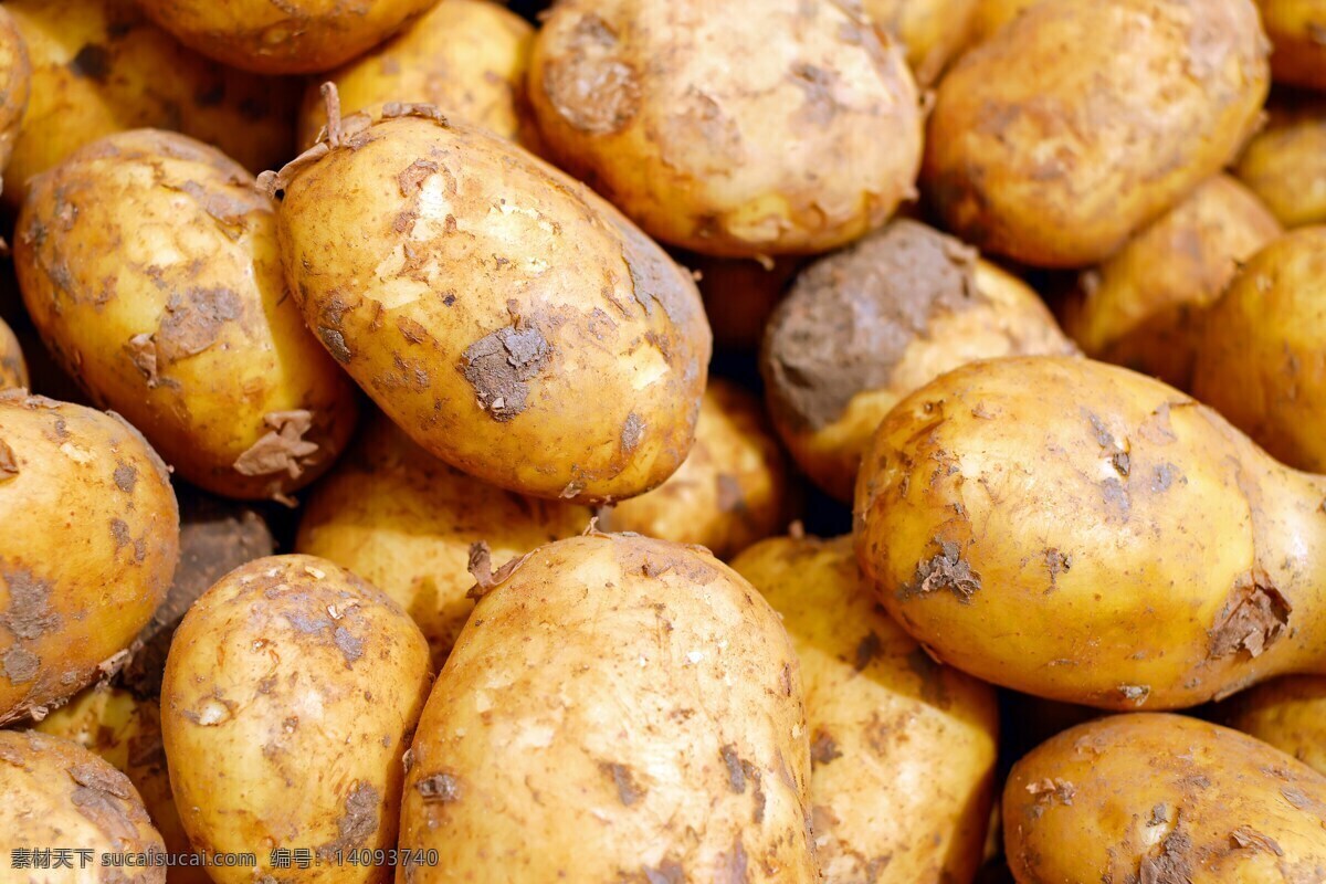 生土豆 土豆 马铃署 一堆土豆 一堆马铃署 餐饮美食 食物原料